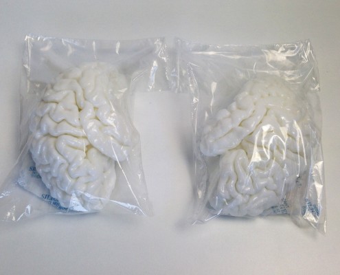 Pre-packed brains